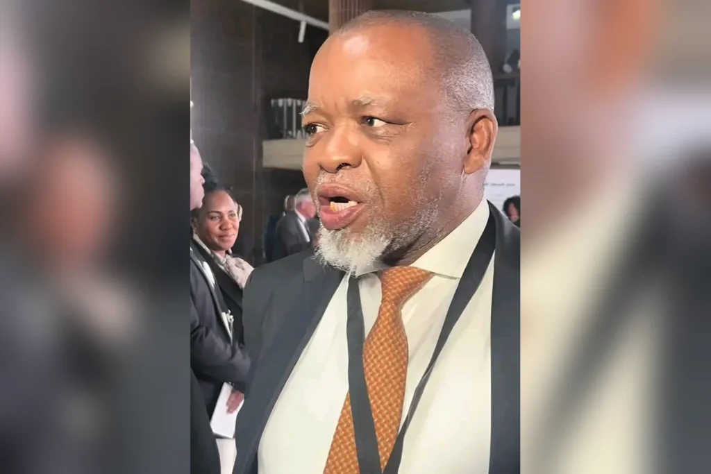 ANCWL Demands Disciplinary Action Against Gwede Mantashe Following 'Derogatory' Media Remarks
